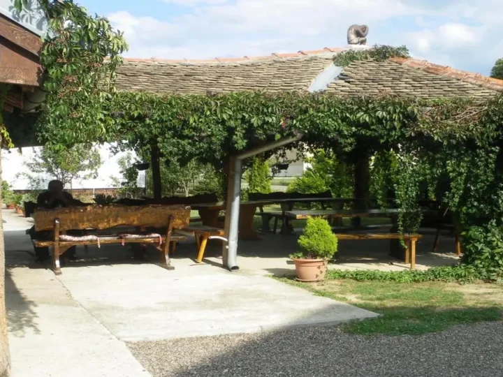 Affordable and luxury accommodation near Osijek — Villa Sandrina in Bilje
